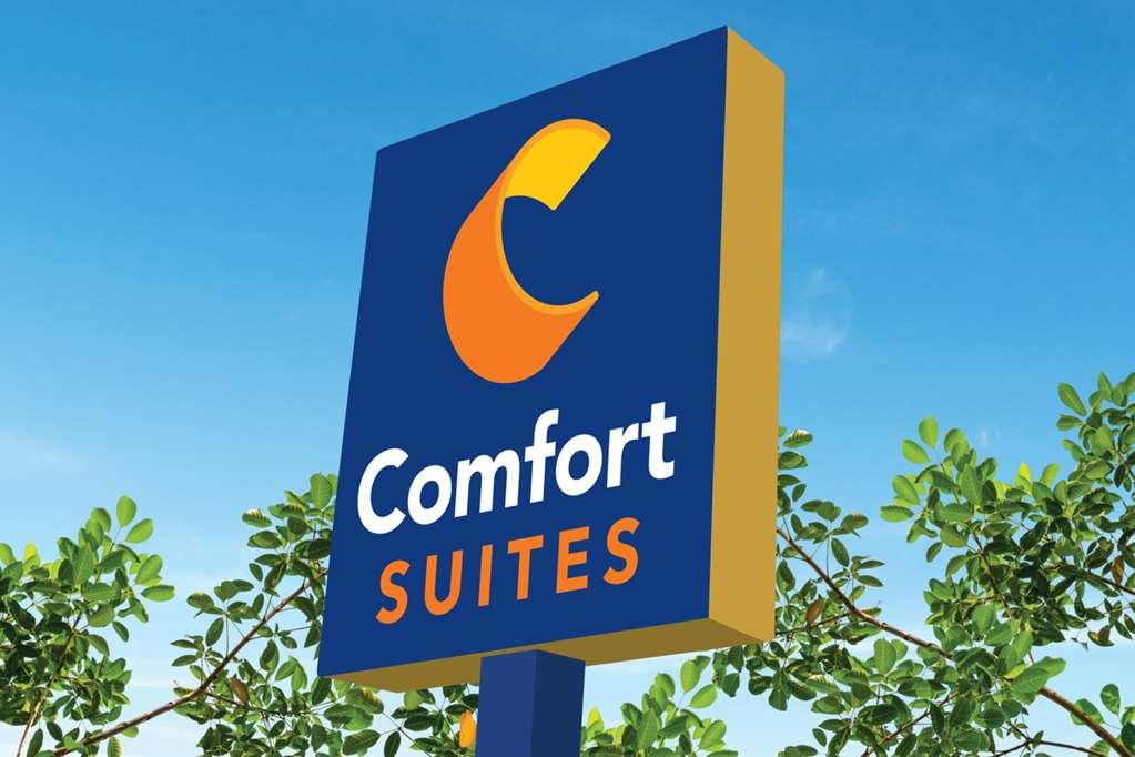 Comfort Suites Gainesville Near University מראה חיצוני תמונה